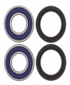 AllBalls Racing Front Wheel Bearings & Seals Kit (AB 25-1389) OUT OF STOCK