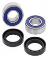 AllBalls Racing Front Wheel Bearings & Seals Kit (AB 25-1510) OUT OF STOCK