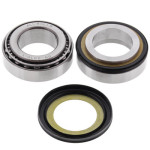 Tapered Roller Steering Bearings and Seals Kit (AB 22-1055)